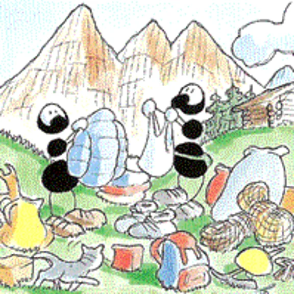 Cerca di avere un adeguato equipaggiamento ed attrezzatura